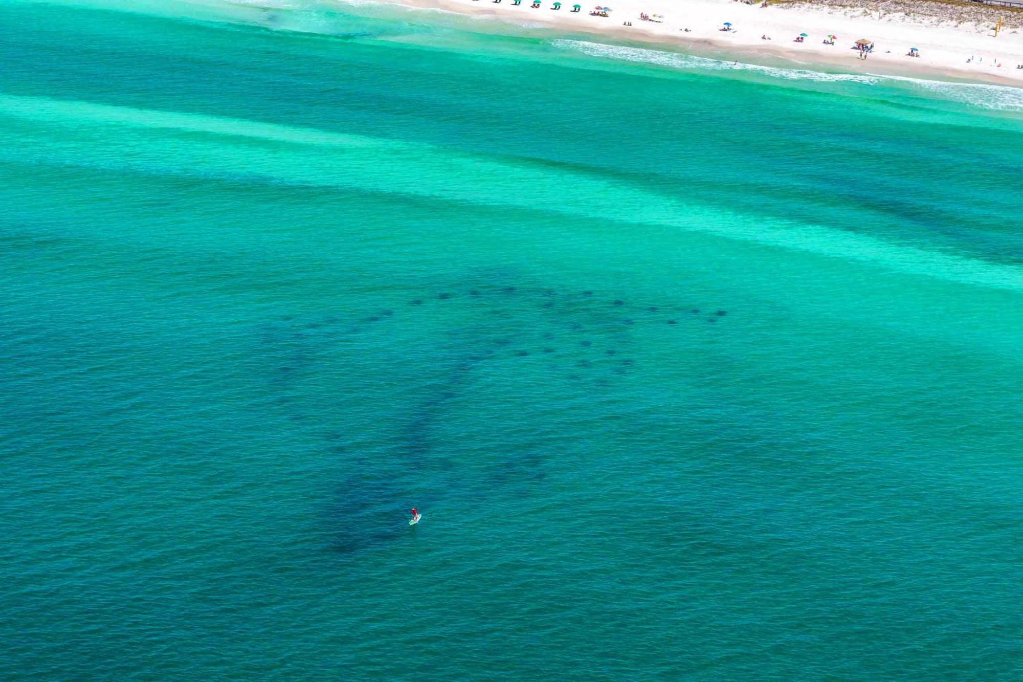 Beach Resort 406 Destin Dış mekan fotoğraf